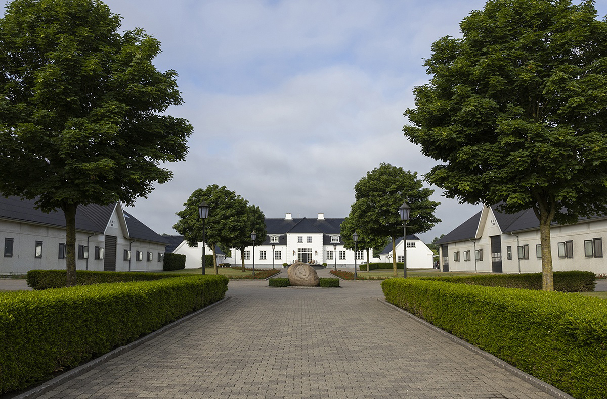 Helgstrand Dressage kontakt