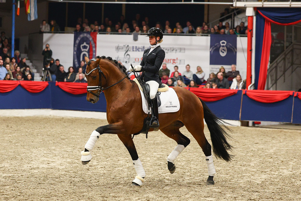 Hingste kåret i Hannover