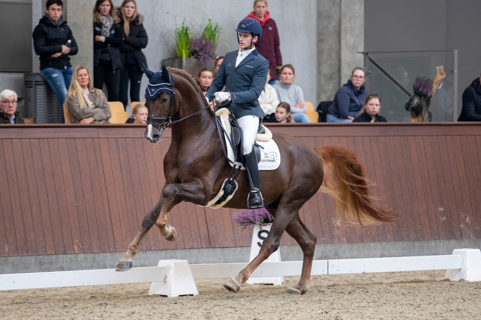 Sir Floresco finale for 5 års