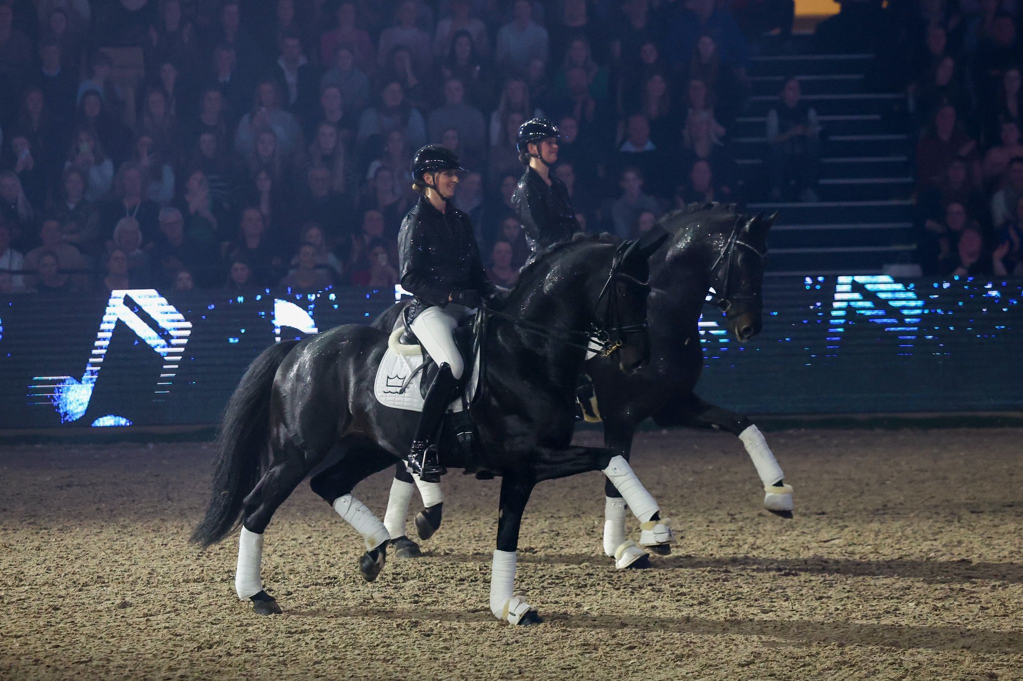 Dansk Varmblod gallashow